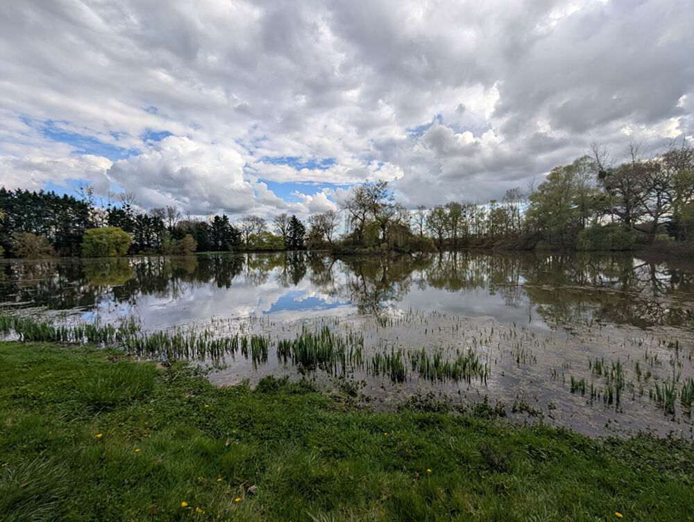 Exclusivité NESTENN Loches - Charmante maison 6 pièces à rafraîchir sur grand terrain à Clion
