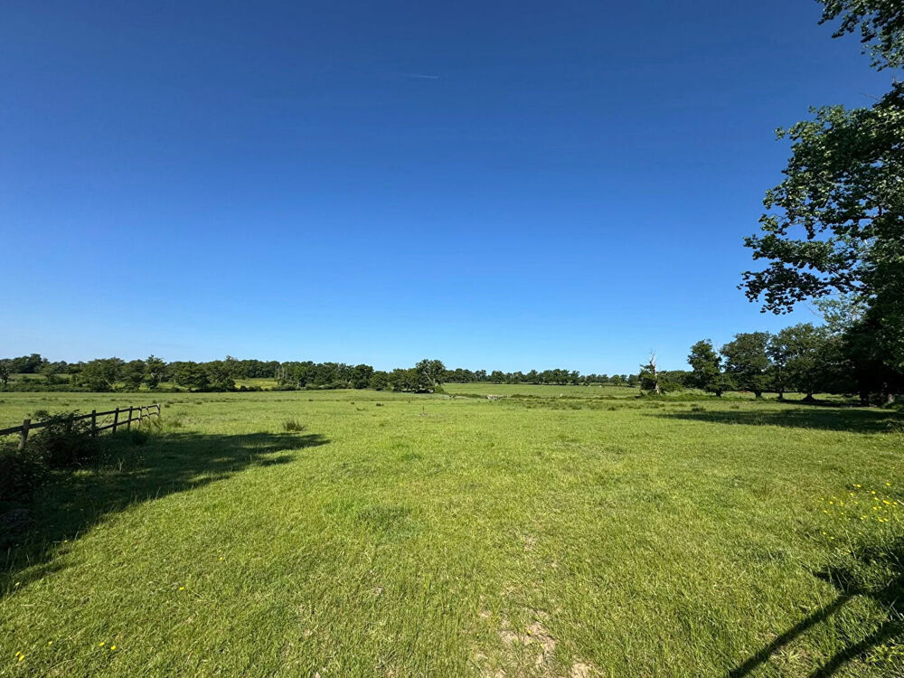 Haute Vienne - Exploitation agricole de 151 hectares avec grande maison et dépendances