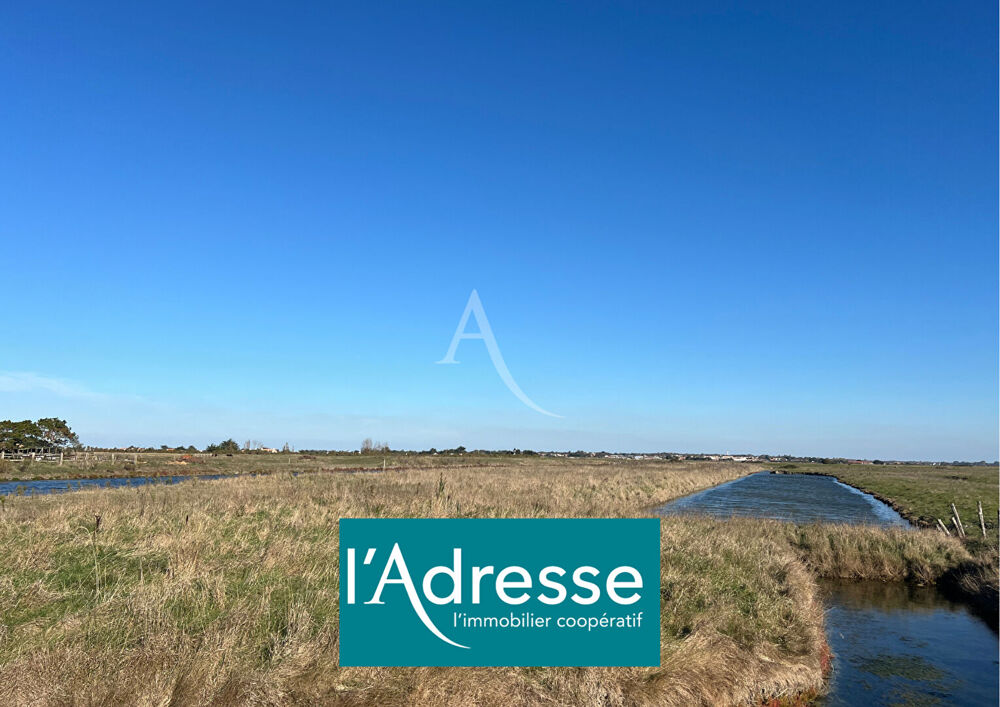 Vente Terrain Terrain Beauvoir Sur Mer 6448 m2 Beauvoir sur mer