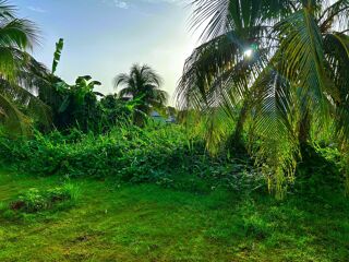  Terrain  vendre 500 m