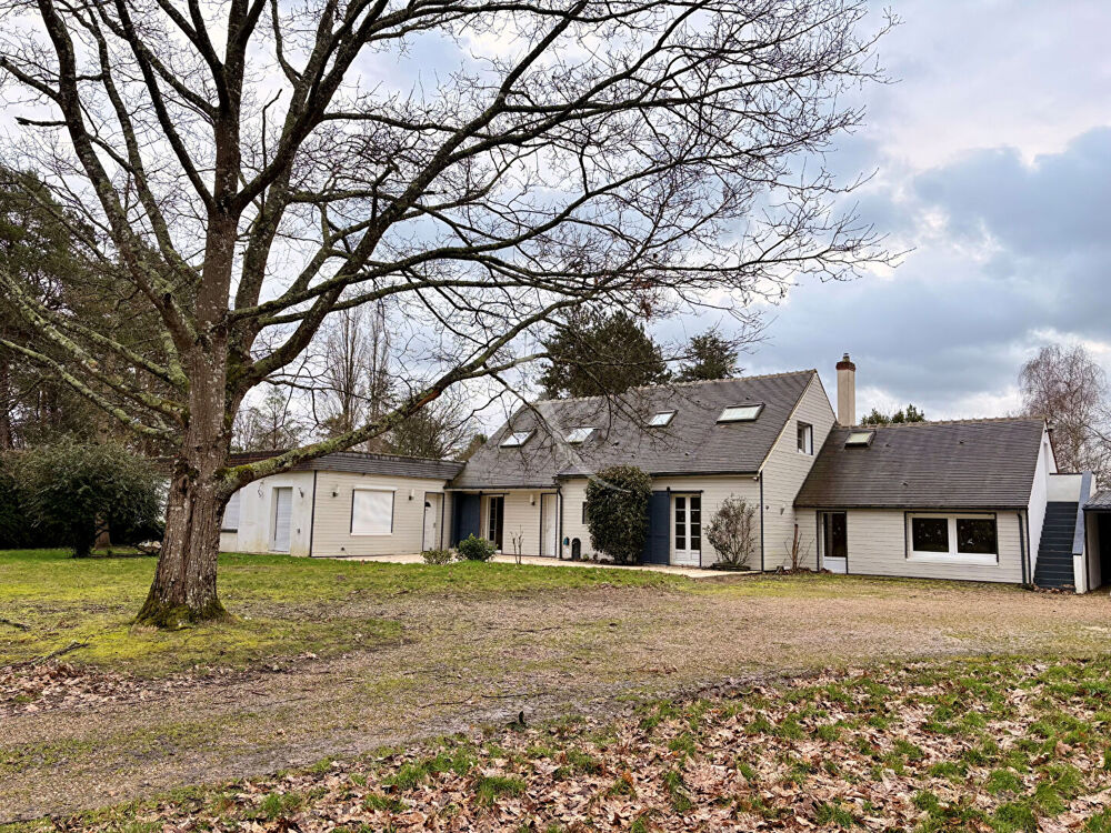 Maison Vitry Aux Loges 350m2+ 1.7ha