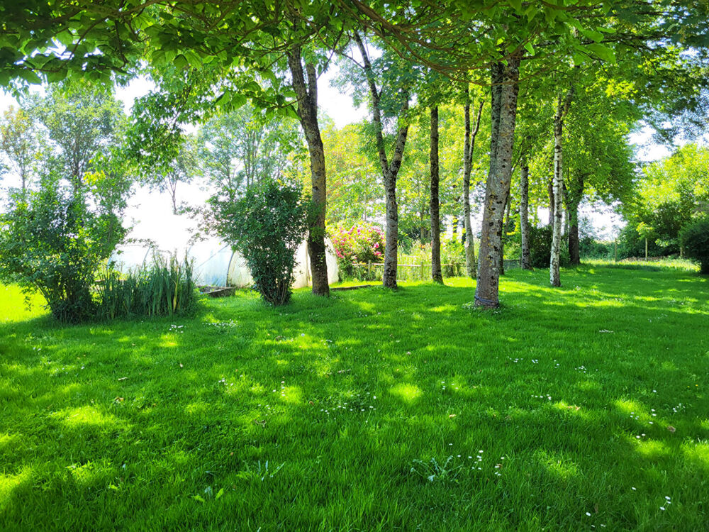 Vente Maison Maison, Guemene Penfao, 6 chbs, Env 195 m2 Guemene penfao