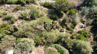  Terrain � vendre 1642 m�