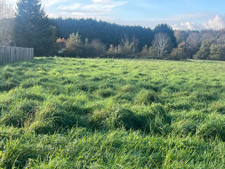  Terrain à vendre 1278 m²