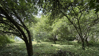  Terrain à vendre 839 m²