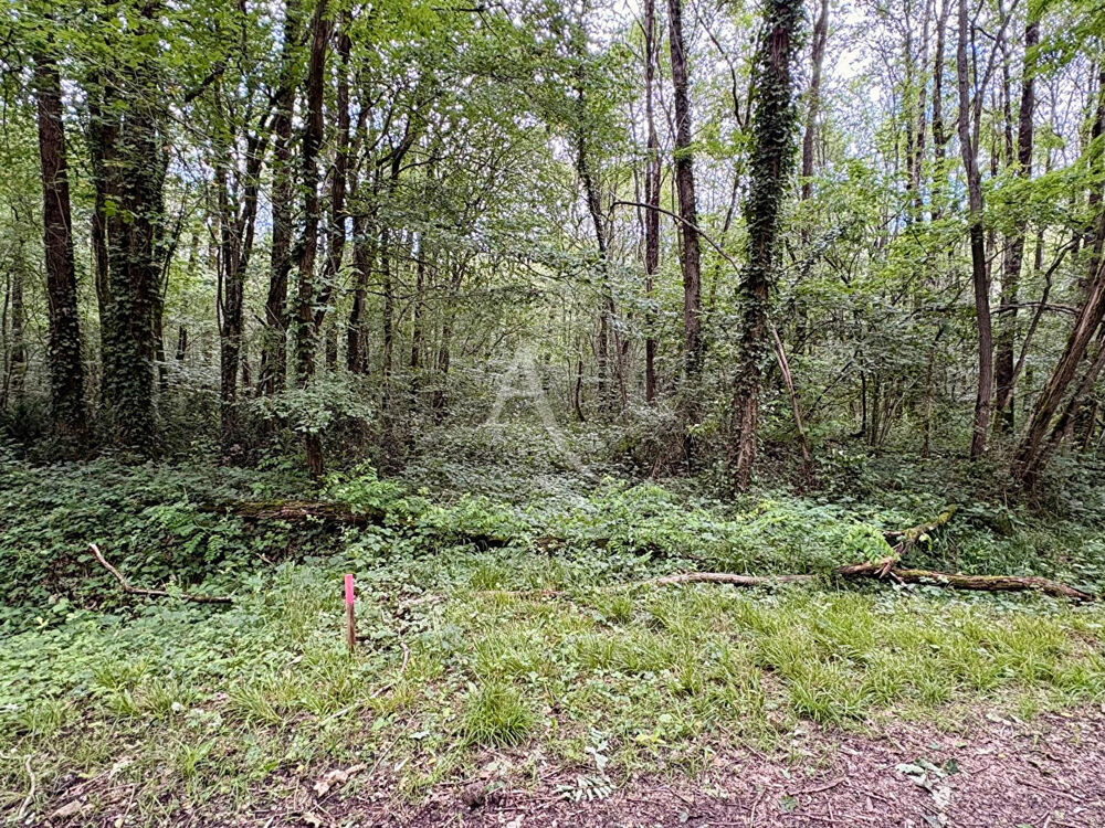 Vente Terrain Domaine forestier Le Plessis Grammoire Le plessis grammoire