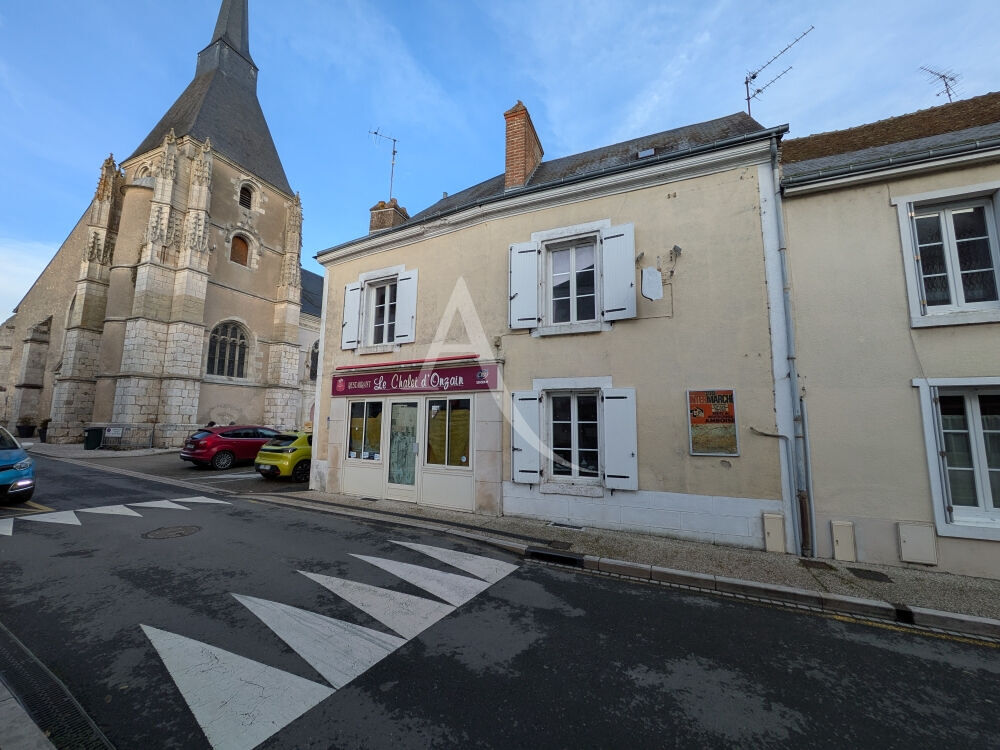 Vente Immeuble ONZAIN - 20 KMS DE BLOIS - 20 KMS D'AMBOISE Veuzain sur loire