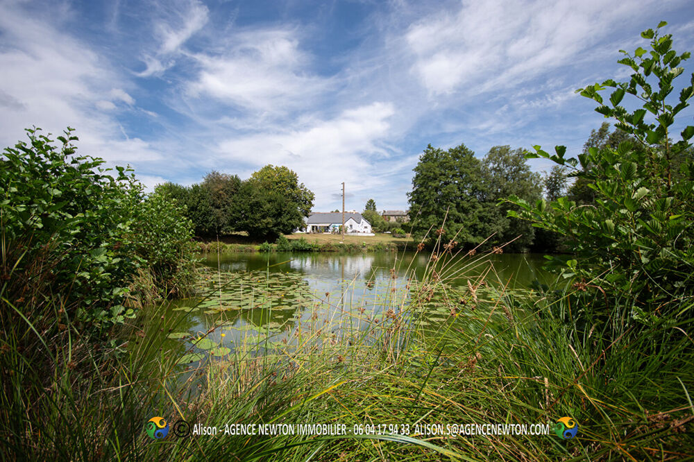 ILLE ET VILAINE, Les Portes du Coglais, près de Fougères. Maison plein pied 3 chs Etang privé, bois, champ, jardins, 1,4 hectar