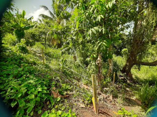  Terrain � vendre 1082 m�