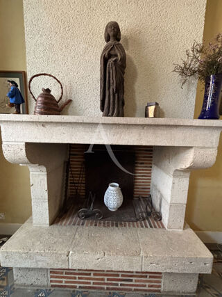  Maison à vendre 12 pièces 242 m²