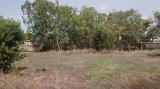  Terrain � vendre 1 m� Nguerigne