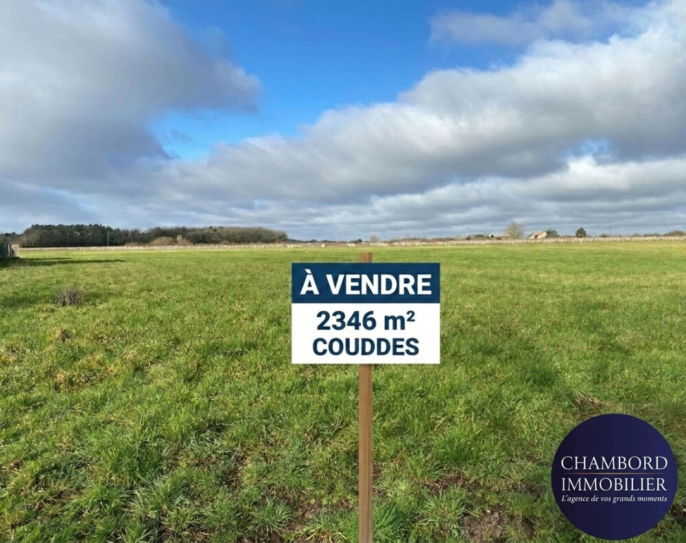 Vente Terrain Terrain Couddes 2346 m2 Couddes