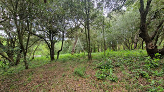  Terrain  vendre 2516 m