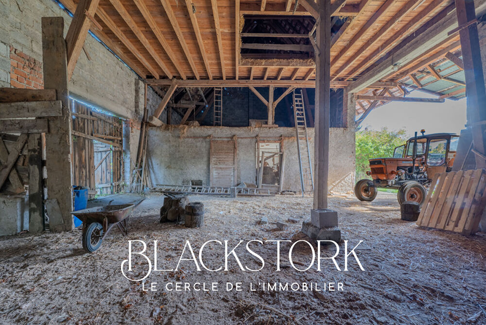 Vente Maison Grande à rénover Biesheim 5 pièce(s) 250 m2 Biesheim