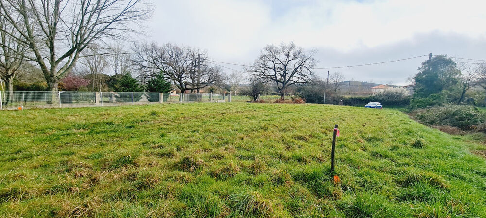 Vente Terrain Terrain 645m²  viabilisation en bordure Montaut