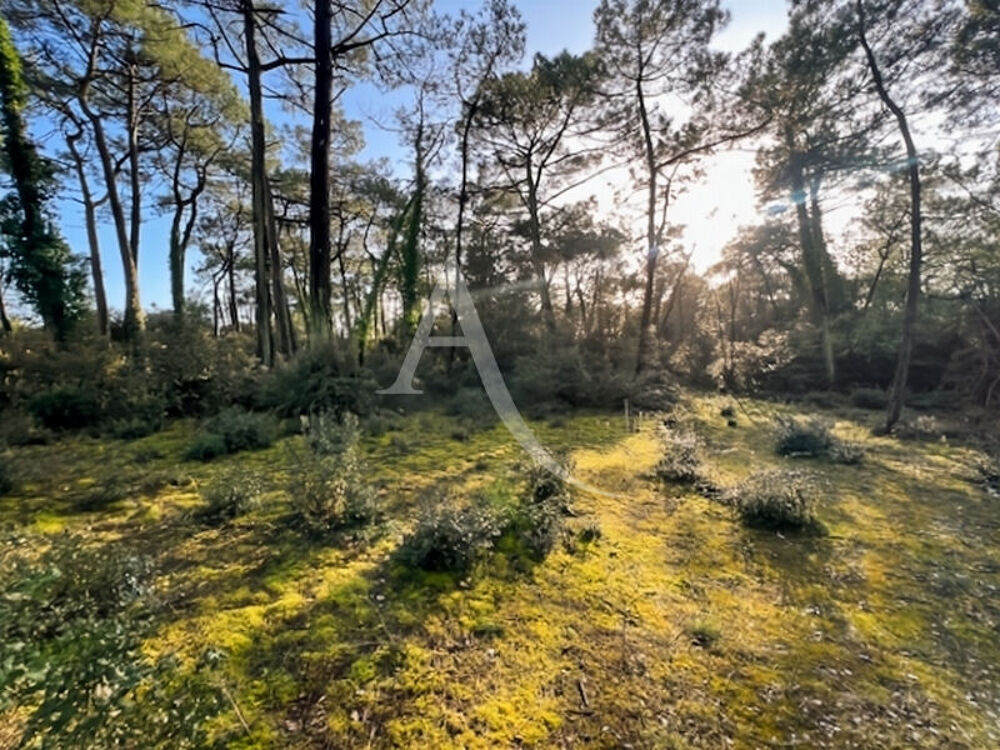 Vente Terrain Terrain Saint Jean De Monts 4808 m² Saint jean de monts