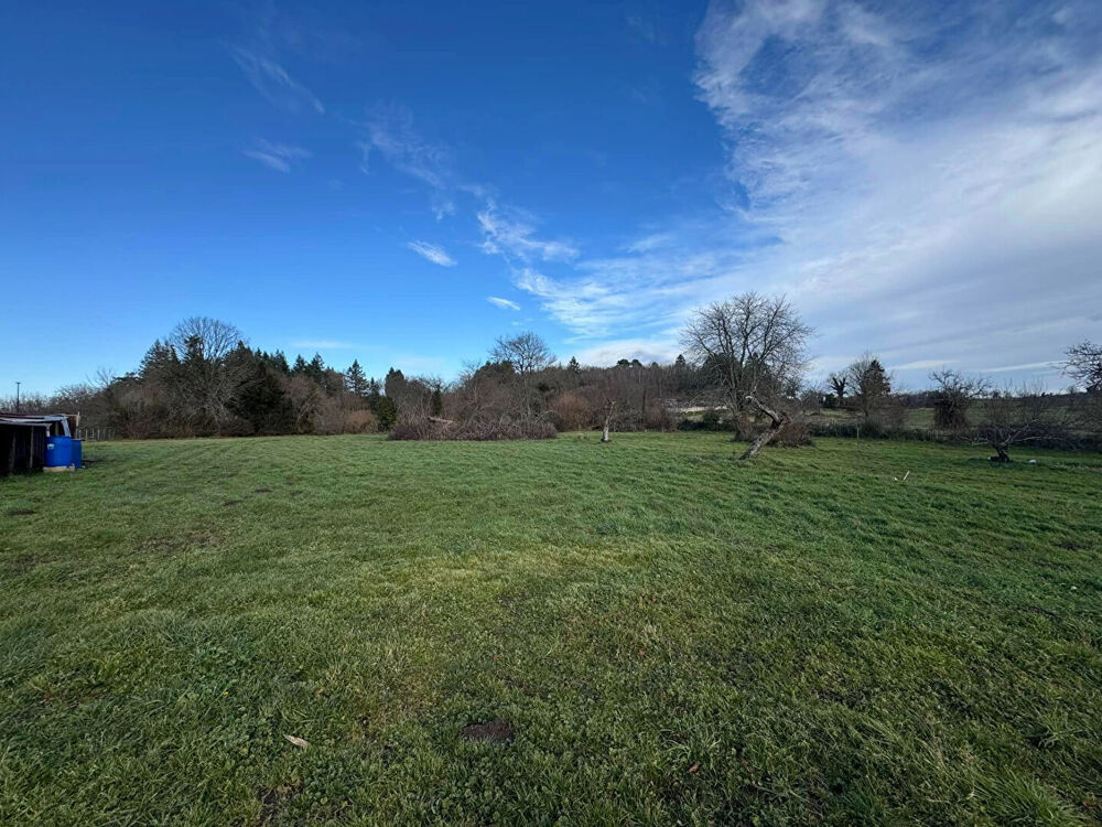 HAUTE VIENNE - Proche Chateauponsac - SYMPATIQUE MAISON DE CAMPAGNE indépendante sur grand terrain de 5332m² avec divers abris.