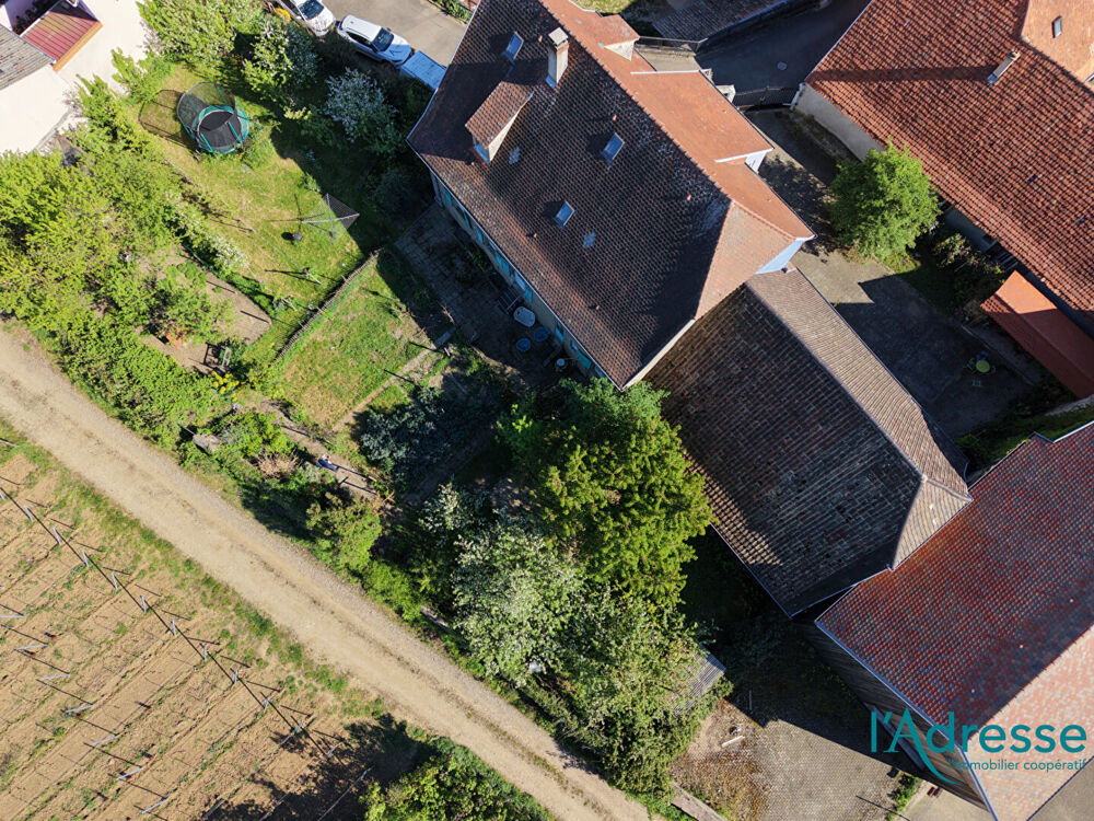 Vente Maison Maison  10 pièces 234 m2 Hattstatt