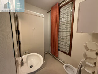  Appartement à louer 1 pièce 29 m²