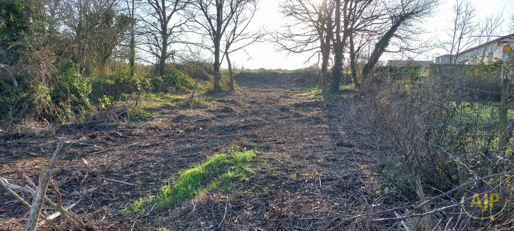 Vente Terrain Terrain  552 m2 contructible Monnieres