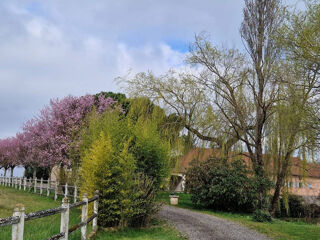  Maison � vendre 6 pi�ces 229 m�