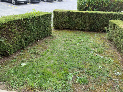  Appartement � louer 3 pi�ces 59 m�