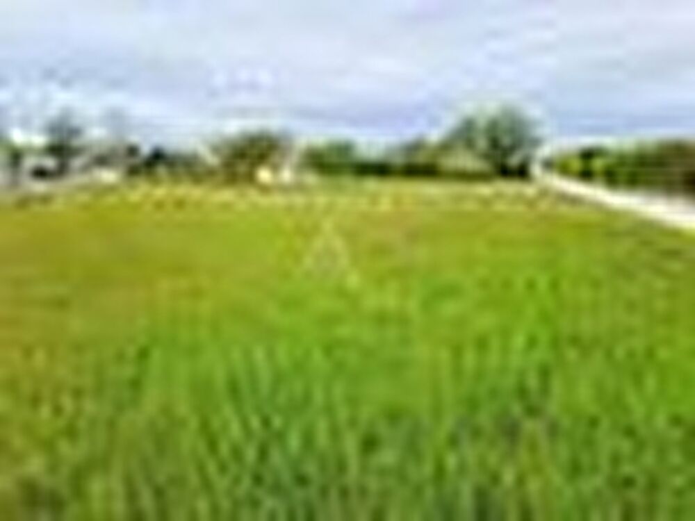 Vente Terrain Terrain Doue En Anjou 924 m2 Doue en anjou