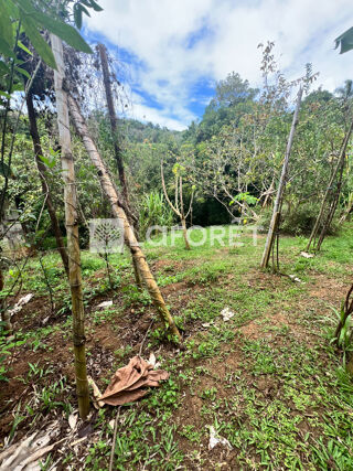  Terrain  vendre 890 m