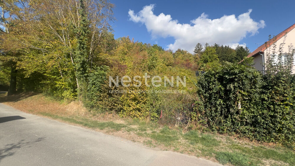 Vente Terrain BAR-LE-DUC terrain de loisirs de 2915m² avec maisonnettes de 4 m² et 9 m² Bar le duc