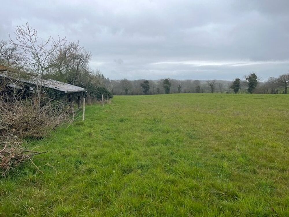 Vente Maison Charmante ferme en pierre avec dépendances et plus de 6 hectares de terrain - idéale pour les passionnés d'équitation Saint laurent sur gorre