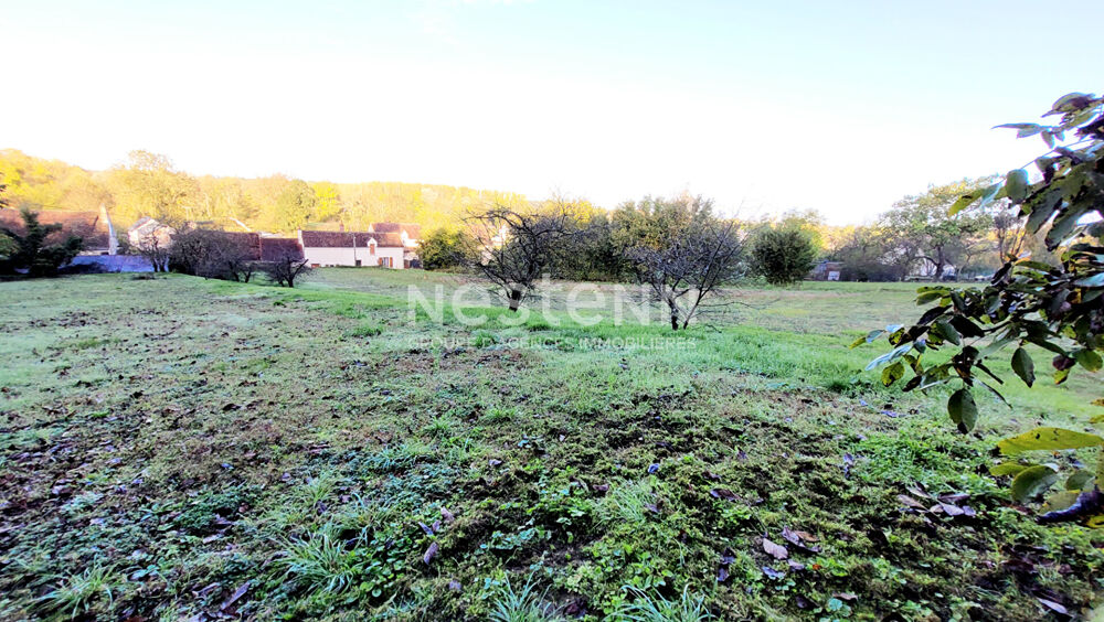 Vente Terrain Terrain constructible + caves: Proche Loches Beaulieu les loches
