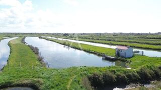  Terrain à vendre 21385 m²