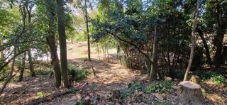  Terrain � vendre 990 m�