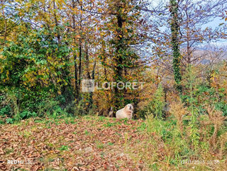  Terrain � vendre 21325 m�