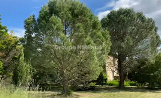  Maison � vendre 15 + pi�ces 1000 m�