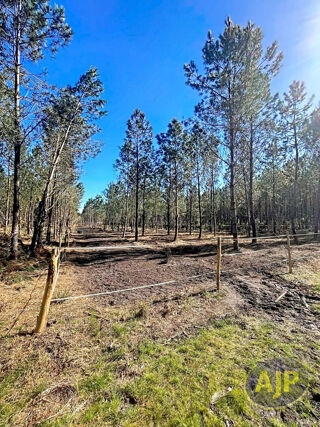  Maison � vendre 7 pi�ces 132 m�