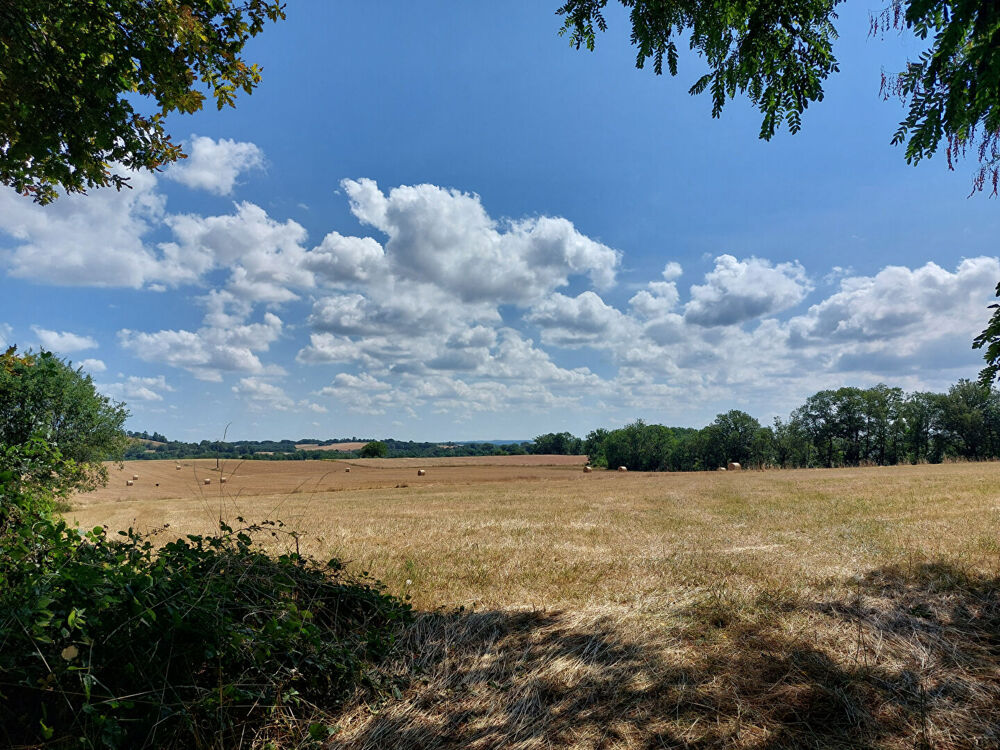 Vente Terrain Terrain constructible Parisot 2672 m2 Parisot