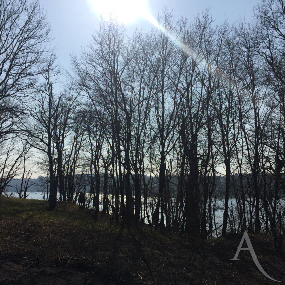 Vente Terrain Terrain avec vue sur Lac d'Eguzon Cuzion