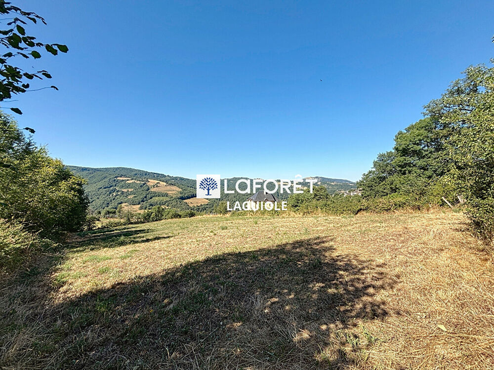 Vente Terrain Terrain Castelnau-de-Mandailles 5390 m2 Castelnau de mandailles