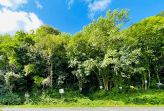  Terrain à vendre 1177 m²