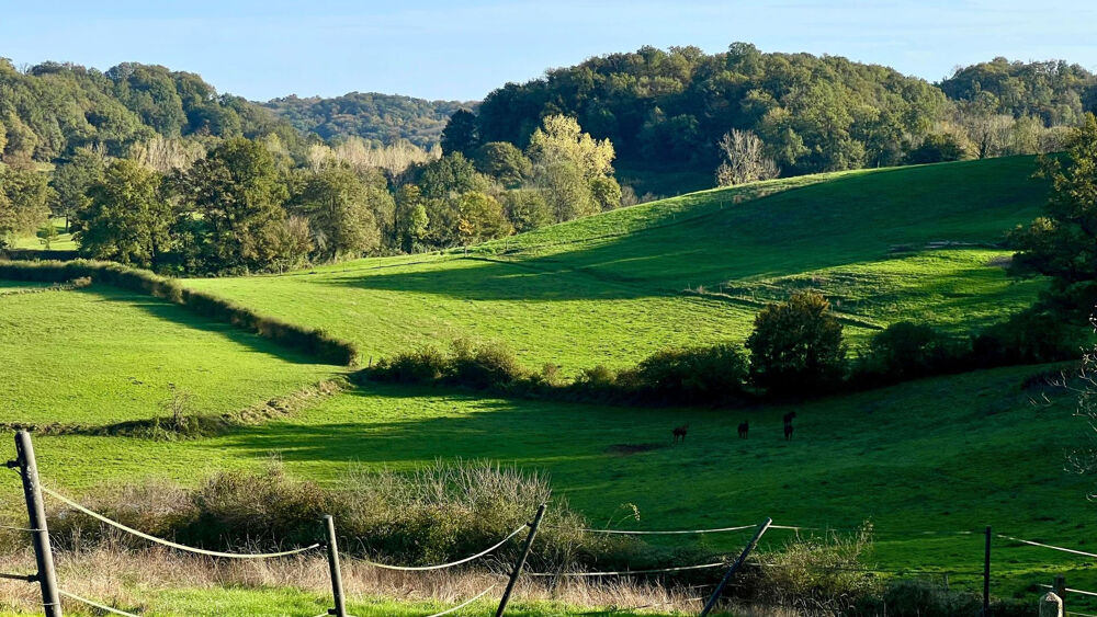 Propriété équestre de 32 hectares