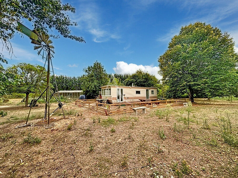 Vente Terrain Entre Angrie et Vern-d'Anjou, un véritable coin de nature sur plus de 4 hectares Angrie