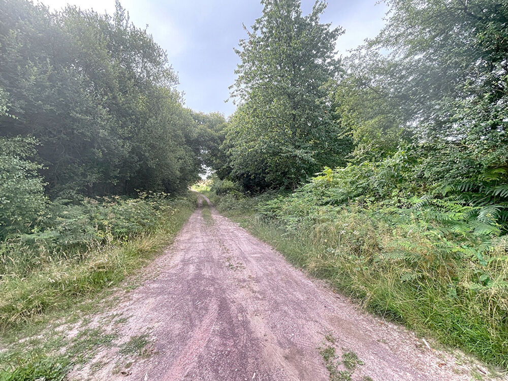 Vente Terrain Terrain Paimpont 40700 m2 Paimpont