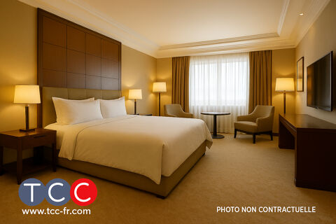 A vendre 2 appartements meubl&eacute;s pour location de courte dur&eacute;e de luxe 477000 31000 Toulouse