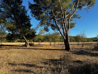  Terrain � vendre 4795 m�