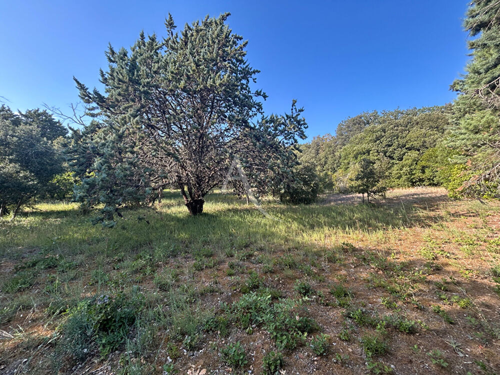Vente Terrain TERRAIN À BÂTIR DE 1 510 M² ? SUPERBE ENVIRONNEMENT ET VUE DÉGAGÉE Alairac
