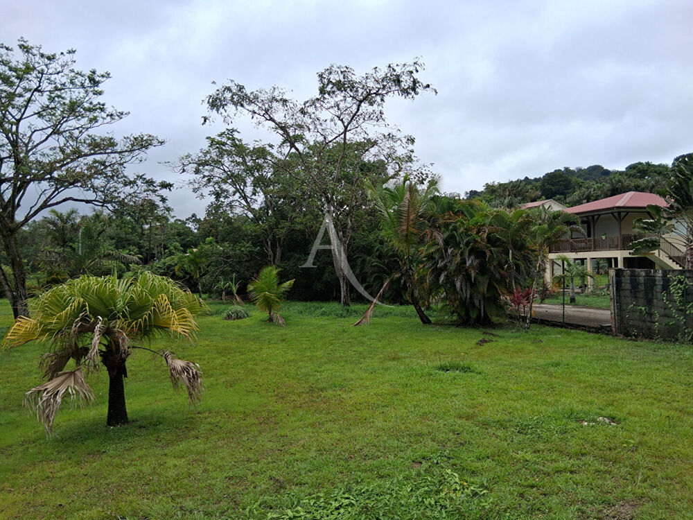 Villa de prestige (meublée) - La Chaumière - Matoury