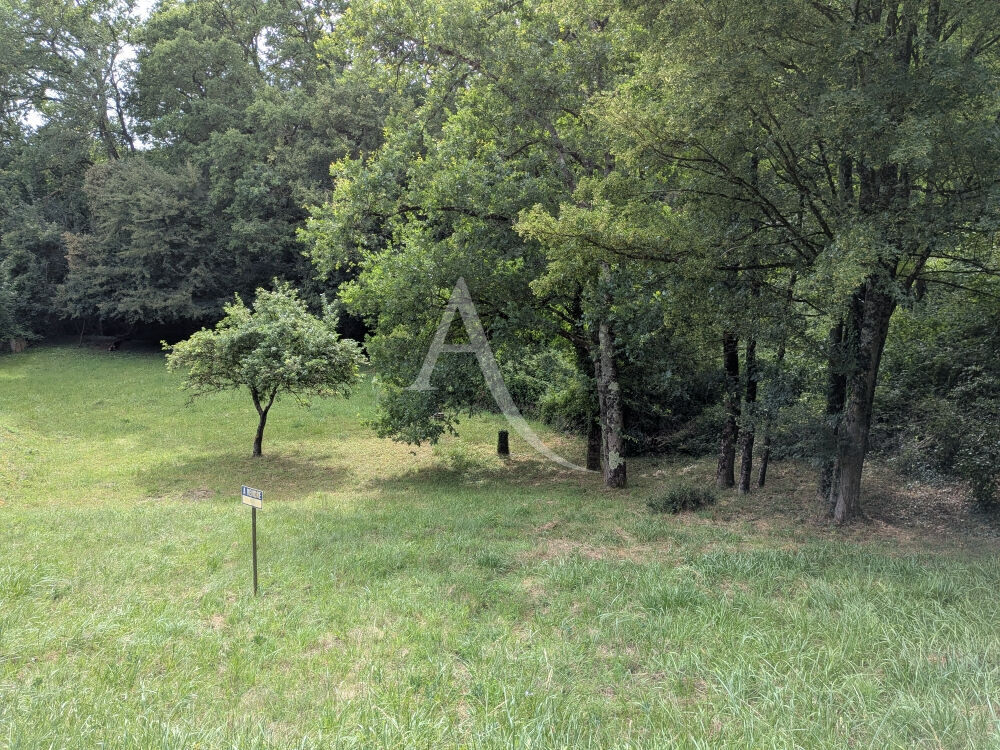 Vente Terrain ONZAIN - 20 KMS DE BLOIS - 20 KMS D AMBOISE Veuzain sur loire