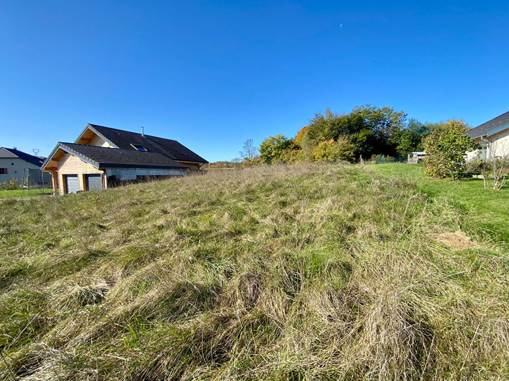 Vente Terrain Terrain  plat à batir de 1020 m2 - Plateau d'Hauteville Hauteville lompnes