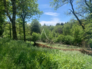  Terrain  vendre 2050 m